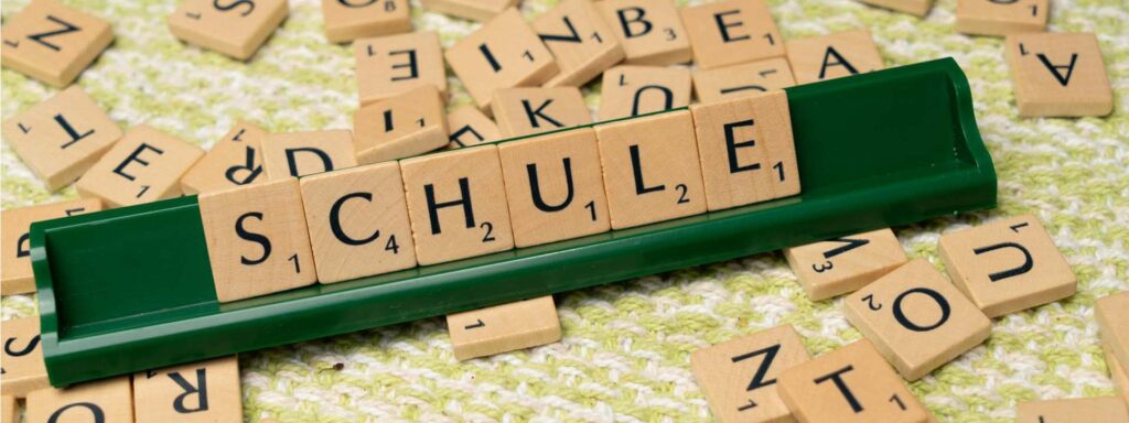 5. Schultute Le sac de lecole