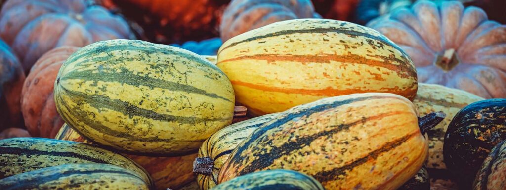 9. Erntedankfest La fete des recoltes